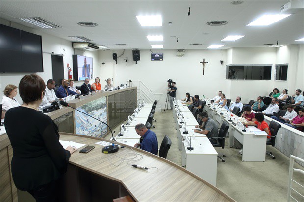 Audiência pública aconteceu no Plenário 'Francisco Antonio Coelho'
