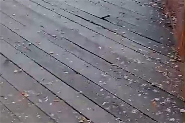 Vereador Gilmar Rotta identificou problemas de manutenção na Ponte Pênsil