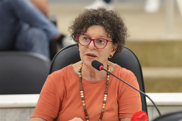 Projeto de lei 217/2024, de autoria de Rai de Almeida, foi aprovado em primeira discussão na 71ª Reunião Ordinária, realizada na noite desta quinta-feira (21)