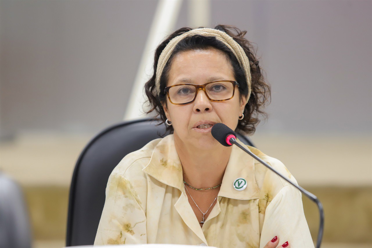 Vereadora Silvia Morales (PV), do mandato coletivo "A Cidade é Sua", é autora do PL 250/2024
