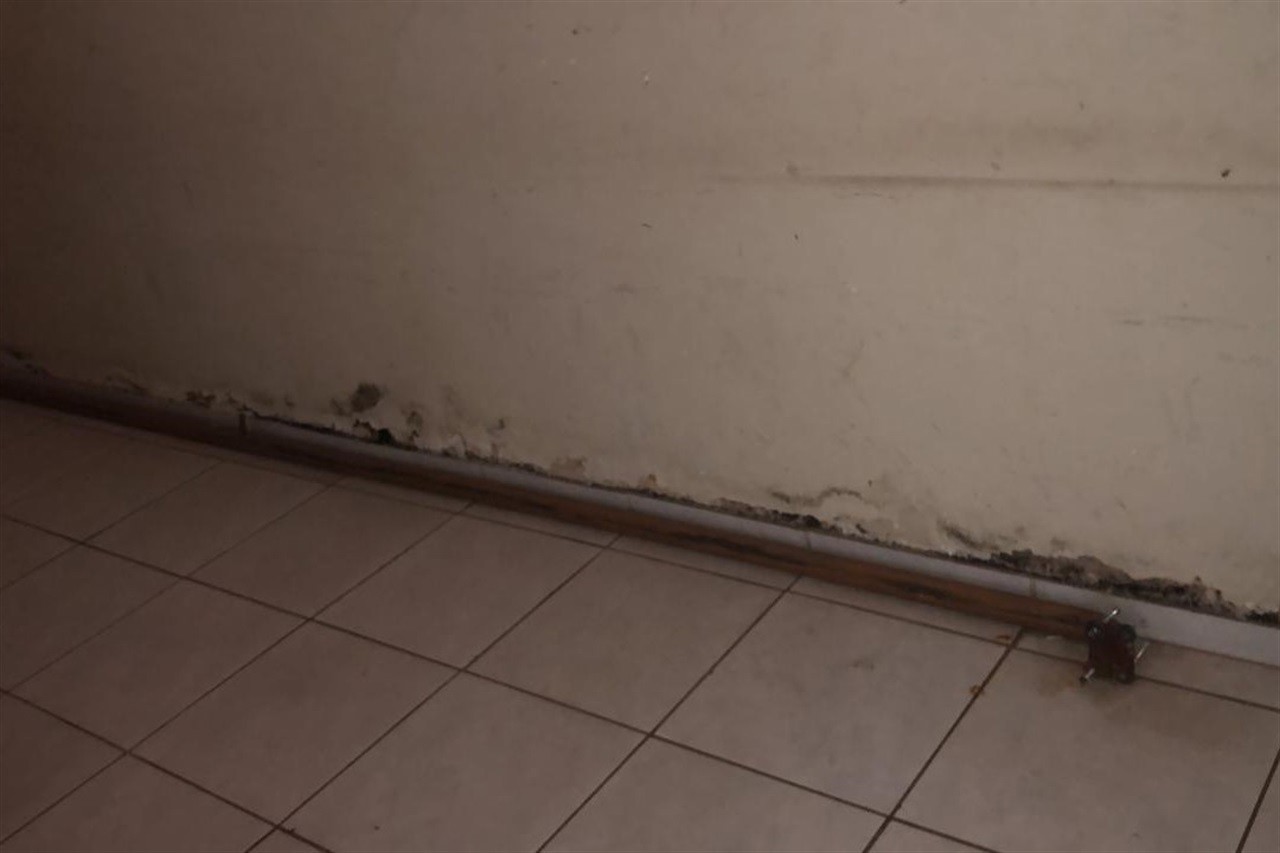 André Bandeira é autor de indicação que solicita ao Executivo Municipal a realização de manutenção e reforma no prédio que abriga o Projeto Guri, na Estação da Paulista