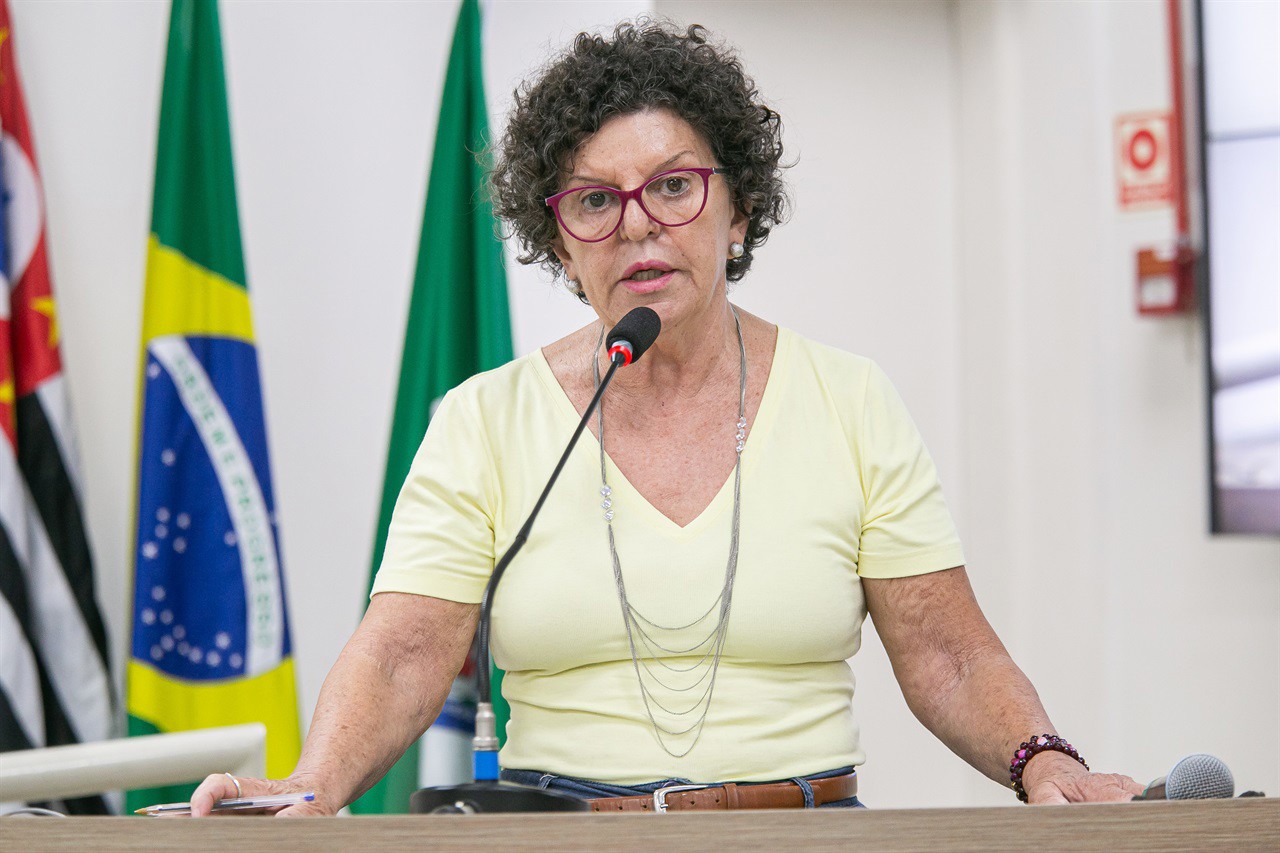 Requerimento 221/2025 é de autoria da vereadora Rai de Almeida (PT)