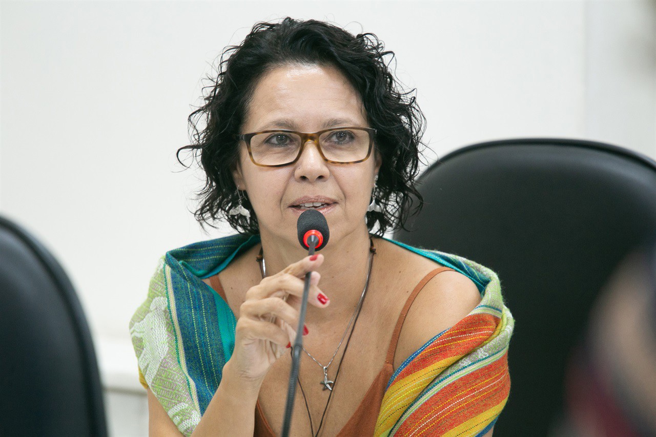 Frente parlamentar é da vereadora Silvia Morales (PV), do mandato coletivo "A Cidade é Sua"