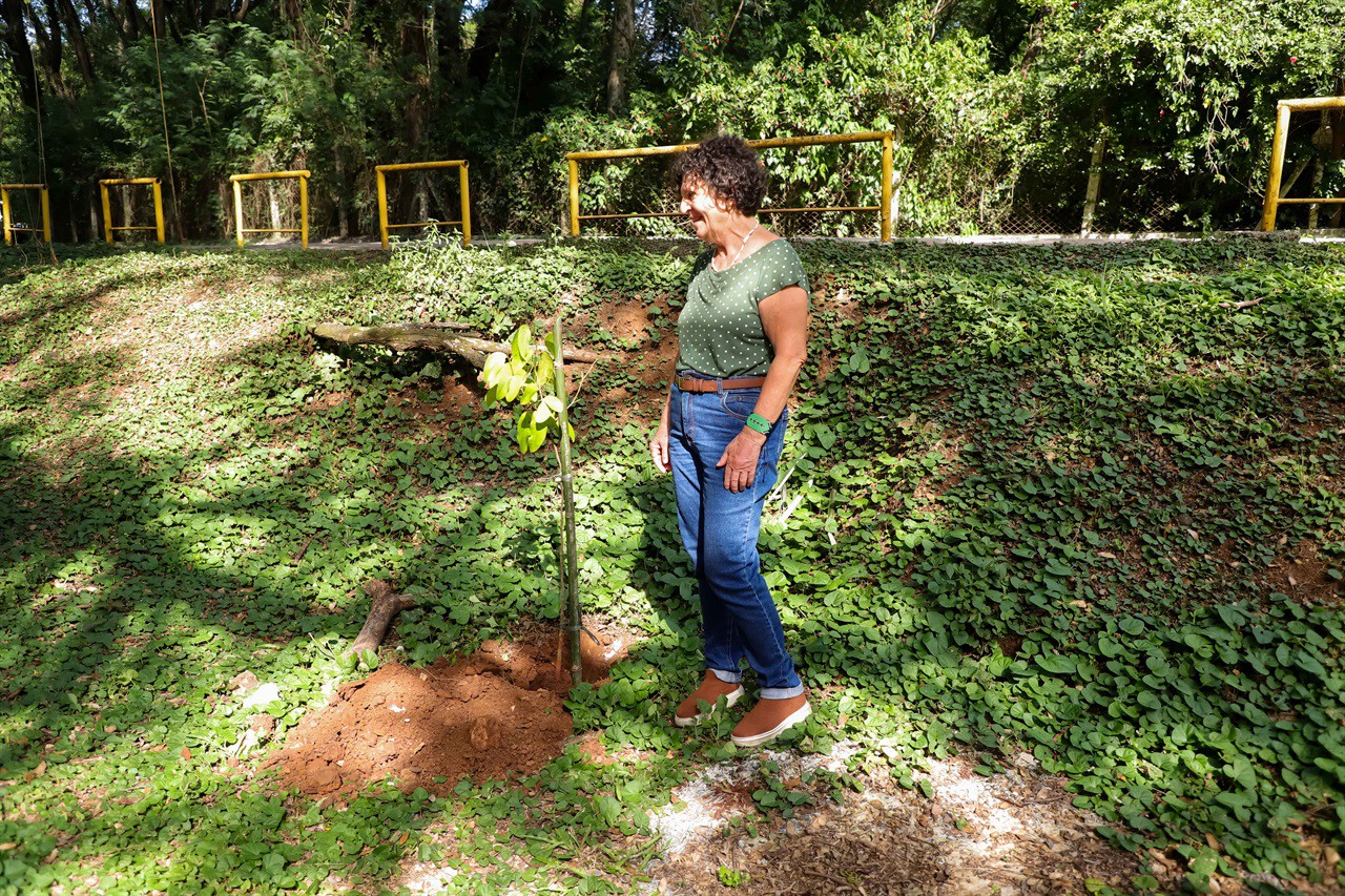 Vereadora faz plantio de árvore pelo Dia do Rio Piracicaba