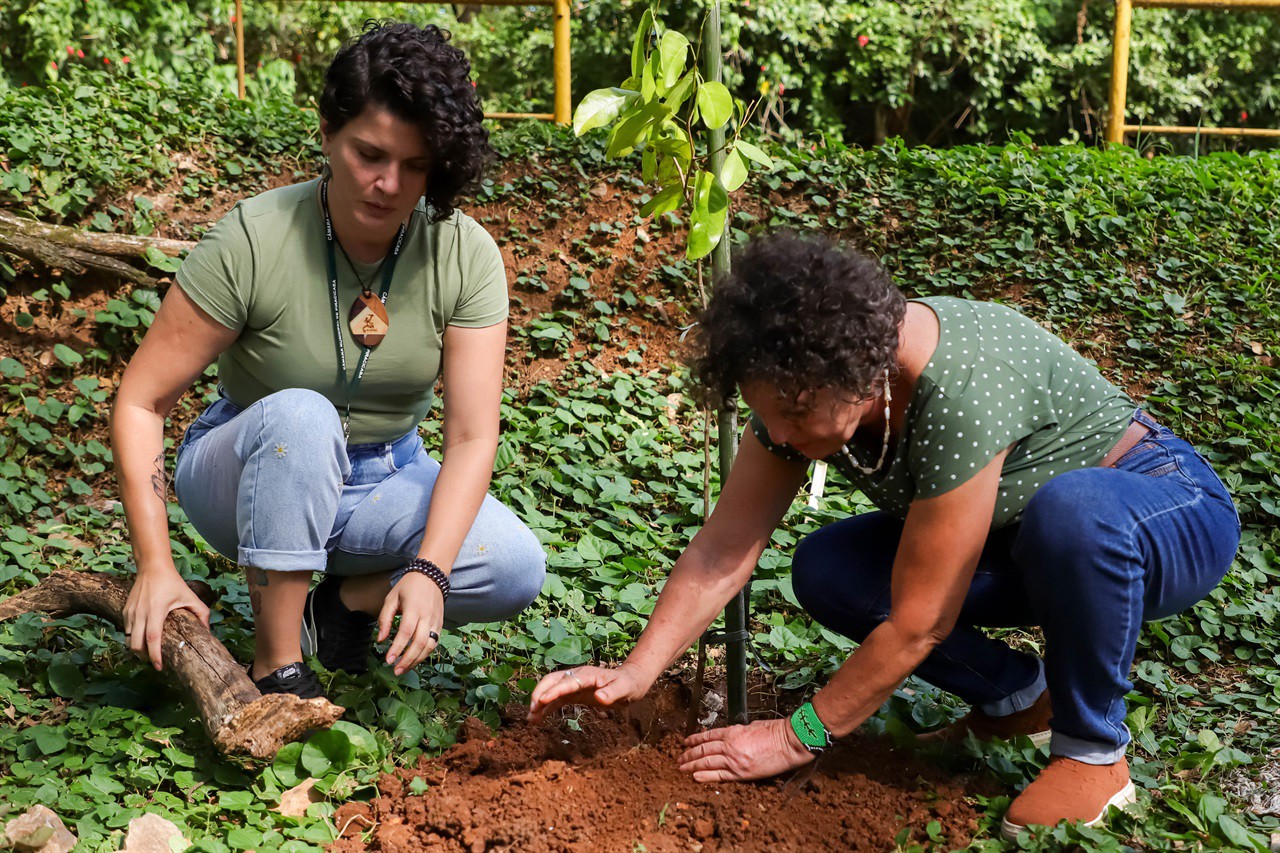 Vereadora faz plantio de árvore pelo Dia do Rio Piracicaba