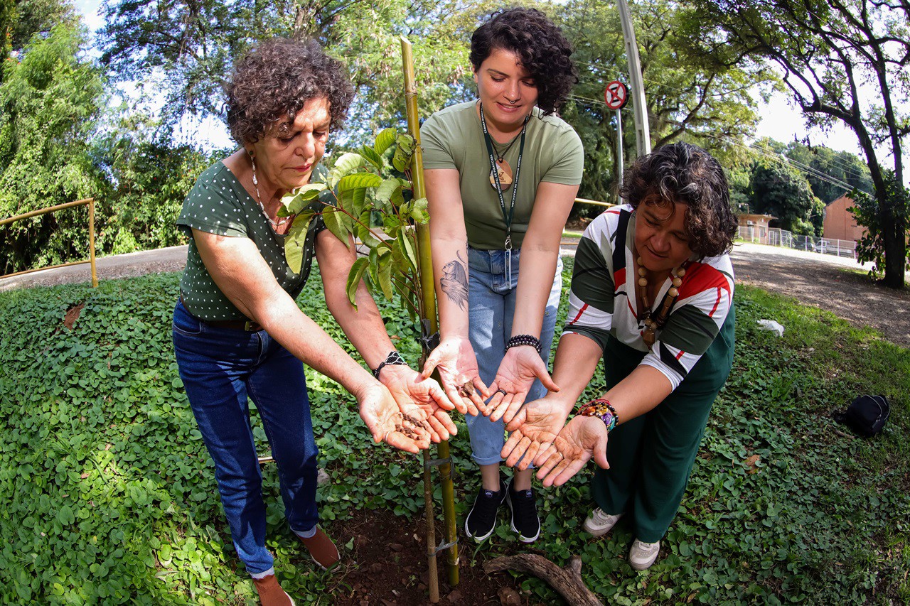 Rai de Almeida, Liliane Cristina, Cláudia Novolete