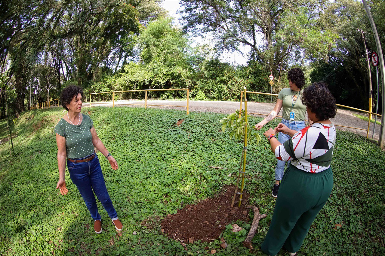Vereadora faz plantio de árvore pelo Dia do Rio Piracicaba