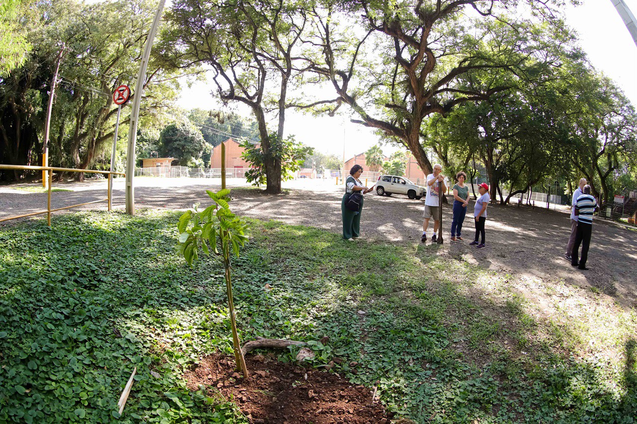 Vereadora faz plantio de árvore pelo Dia do Rio Piracicaba