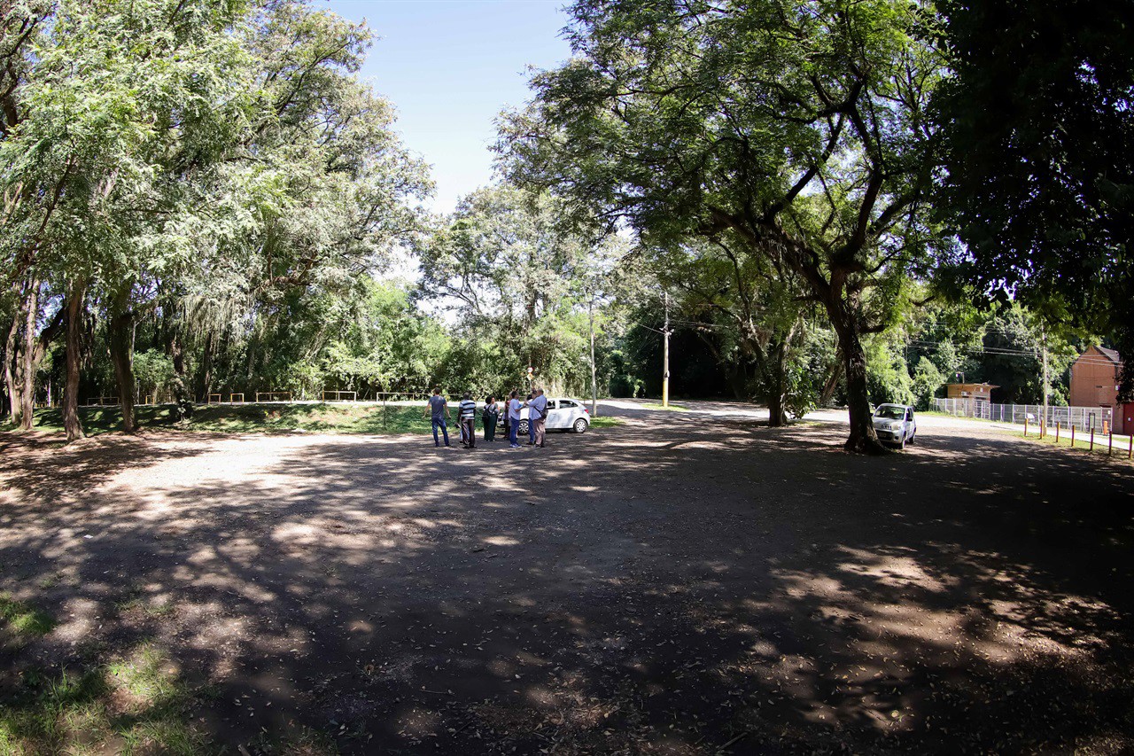 Vereadora faz plantio de árvore pelo Dia do Rio Piracicaba