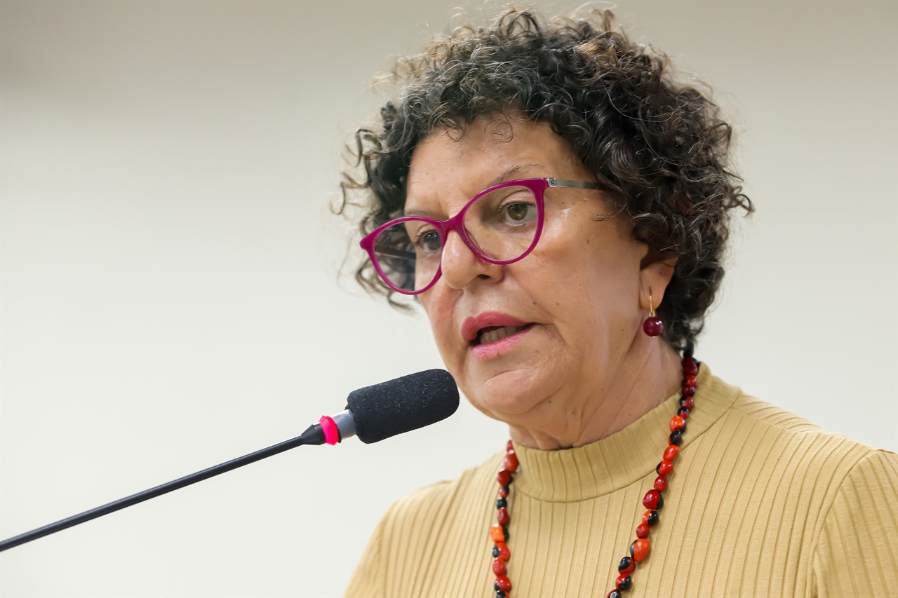 Rai de Almeida é autora do requerimento 359/2025, que questiona supressão de árvores na rua Chavantes, 380, na Paulicéia