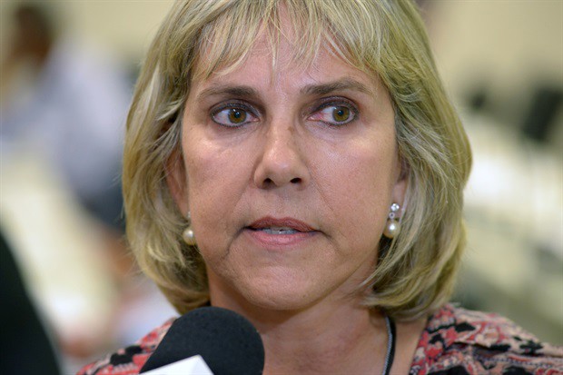 PDL passou pelo crivo do plenário em reunião