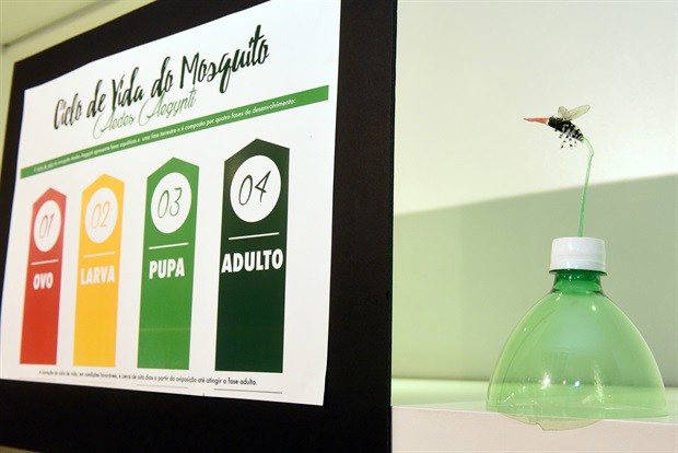 Curadoria programou 11 visitas de escolas