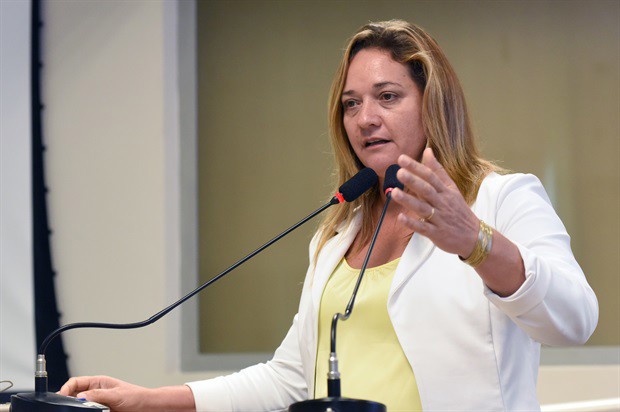 Câmara quer mais detalhes sobre projeto que altera Estatuto da Guarda