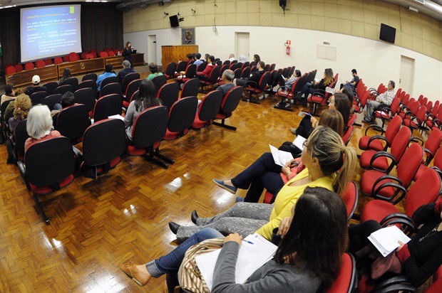 Atribuições dos poderes são apresentadas ao público de forma demagógica, disse Renata