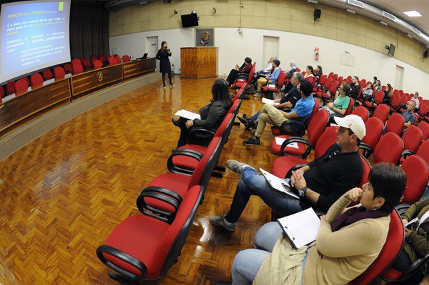Atribuições dos poderes são apresentadas ao público de forma demagógica, disse Renata