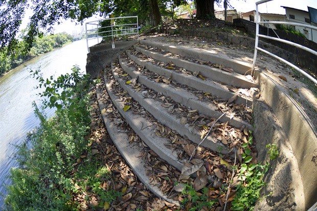 Vegetação alta dificulta caminhadas e contribui para a proliferação do carrapato-estrela